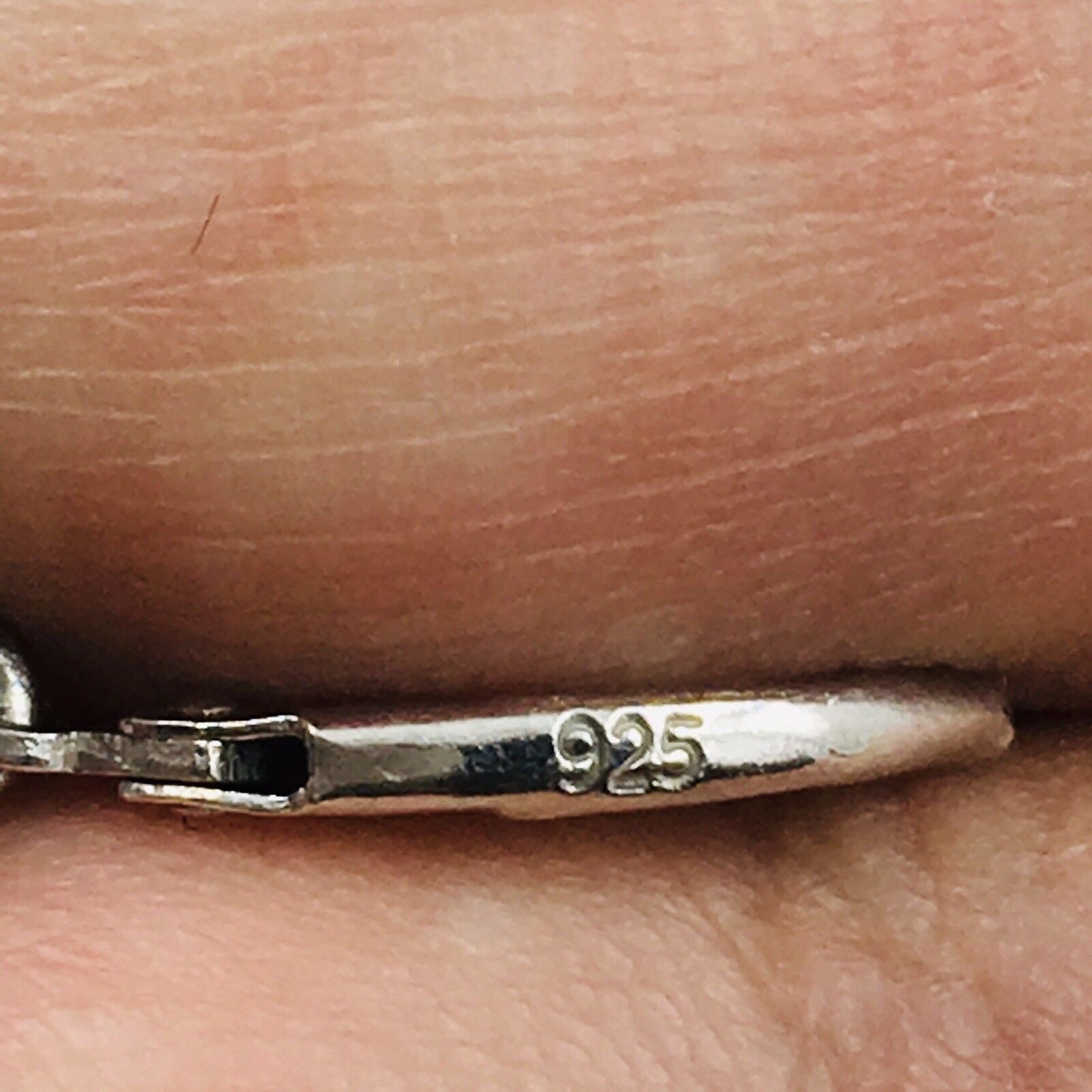 Sts Chuck Clemency Aquamarine Sterling Silver Earrings