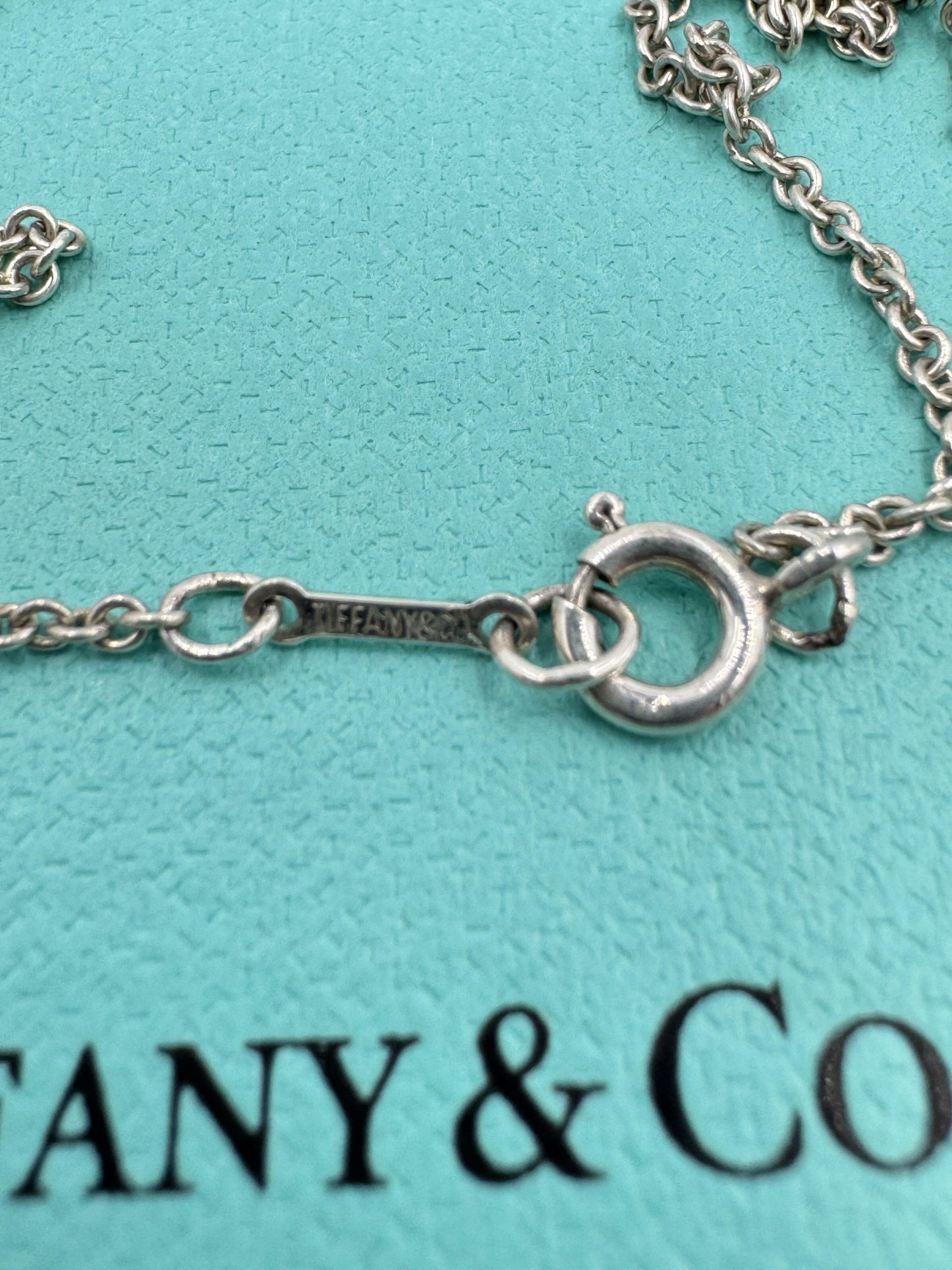 Tiffany & Co. Elsa Peretti Large 20mm Bean Pendant Necklace with Pouch and box