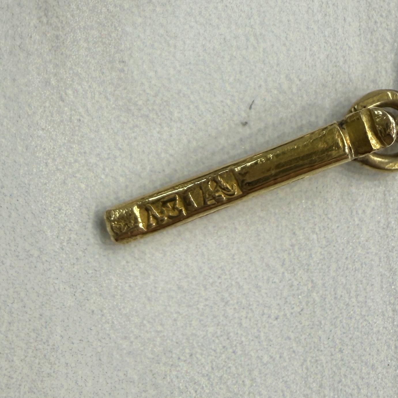 Antique 1890's Victorian Enamel Clasp Long Necklace 14k-17k Yellow Gold